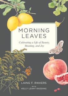 Book cover of Morning Leaves