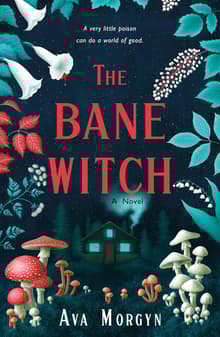 Book cover of The Bane Witch