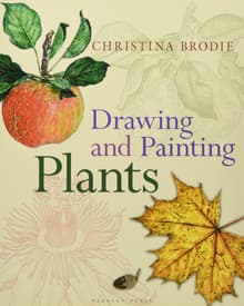 Book cover of Drawing and Painting Plants