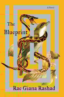 Book cover of The Blueprint
