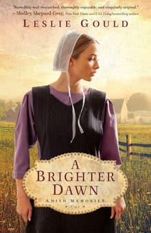 Book cover of A Brighter Dawn