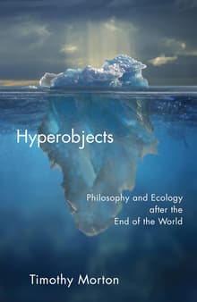 Book cover of Hyperobjects