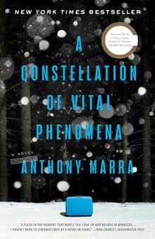 Book cover of A Constellation of Vital Phenomena