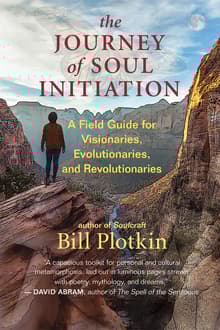 Book cover of The Journey of Soul Initiation: A Field Guide for Visionaries, Evolutionaries, and Revolutionaries