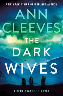 Book cover of The Dark Wives