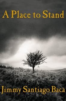 Book cover of A Place to Stand