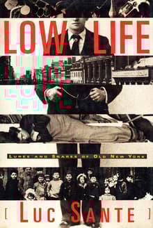 Book cover of Low Life: Lures and Snares of Old New York