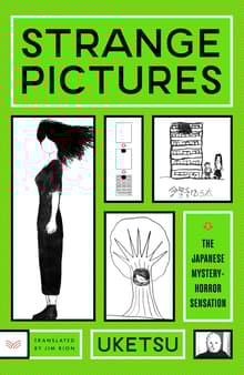 Book cover of Strange Pictures