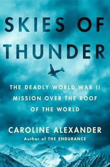 Book cover of Skies of Thunder
