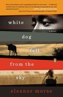 Book cover of White Dog Fell from the Sky