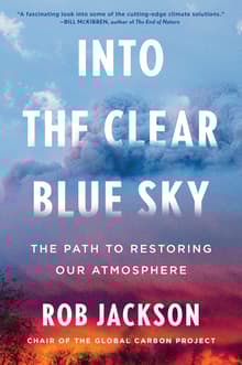 Book cover of Into the Clear Blue Sky