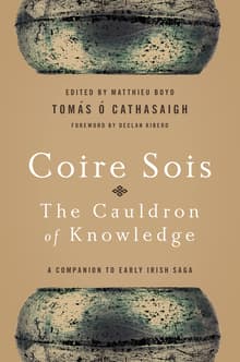 Book cover of Coire Sois, The Cauldron of Knowledge: A Companion to Early Irish Saga