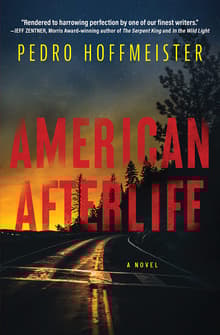 Book cover of American Afterlife