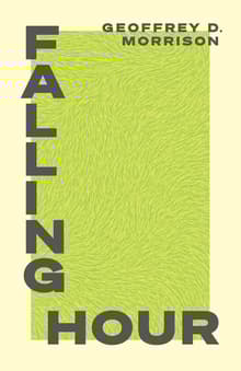 Book cover of Falling Hour
