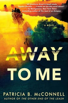 Book cover of Away to Me