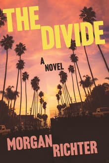 Book cover of The Divide
