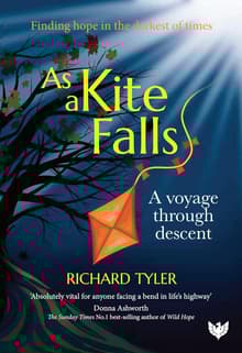 Book cover of As a Kite Falls