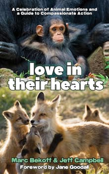 Book cover of Love in Their Hearts