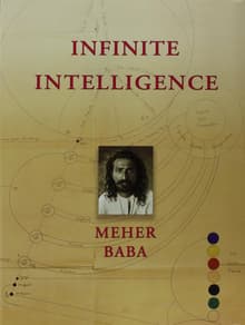 Book cover of Infinite Intelligence