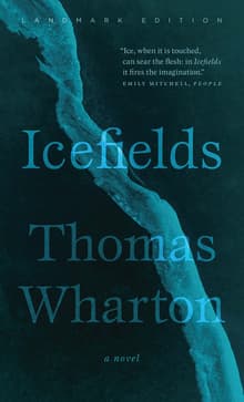 Book cover of Icefields