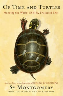 Book cover of Of Time And Turtles