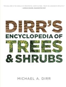 Book cover of Dirr's Encyclopedia of Trees and Shrubs