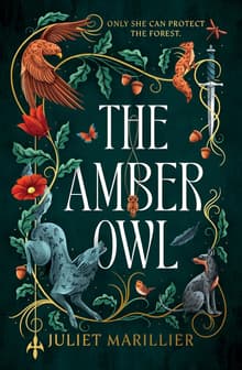 Book cover of The Amber Owl