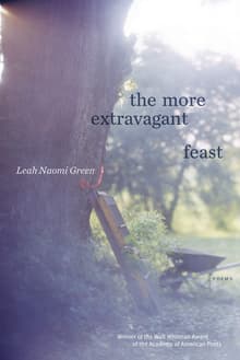 Book cover of The More Extravagant Feast: Poems