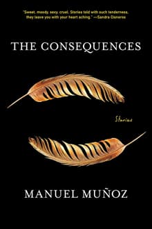 Book cover of The Consequences