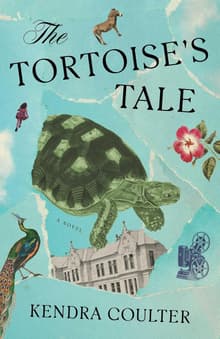 Book cover of The Tortoise's Tale