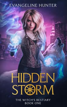 Book cover of Hidden Storm