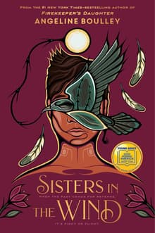 Book cover of Sisters in the Wind