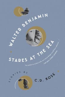 Book cover of Walter Benjamin Stares at the Sea