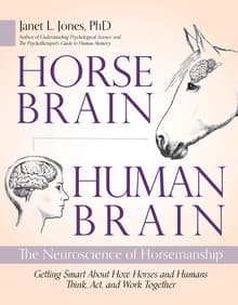 Book cover of Horse Brain, Human Brain: The Neuroscience of Horsemanship