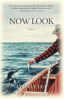 Book cover of Now Look