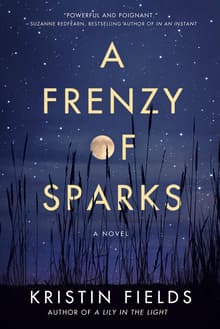 Book cover of A Frenzy of Sparks