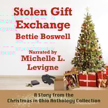 Book cover of Stolen Gift Exchange: A Christmas in Ohio Anthology Collection Story