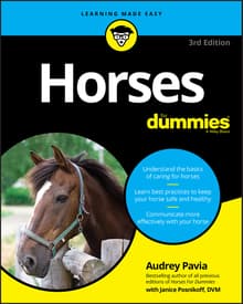 Book cover of Horses for Dummies
