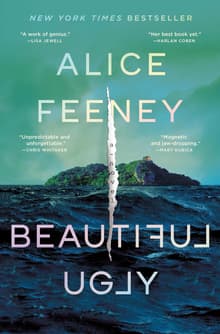Book cover of Beautiful Ugly