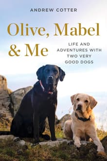 Book cover of Olive, Mabel & Me