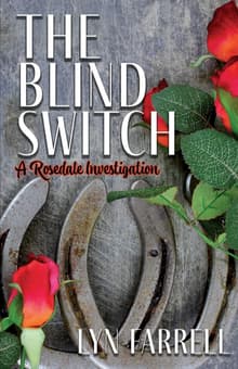Book cover of The Blind Switch