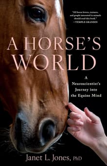 Book cover of A Horse's World