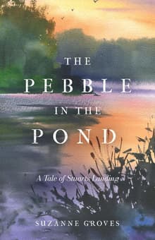 Book cover of The Pebble in the Pond