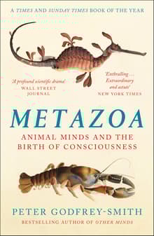 Book cover of Metazoa: Animal Minds and the Birth of Consciousness