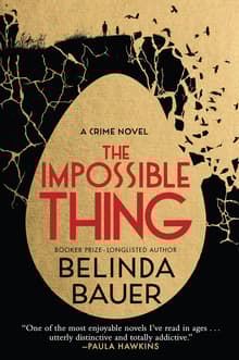 Book cover of The Impossible Thing