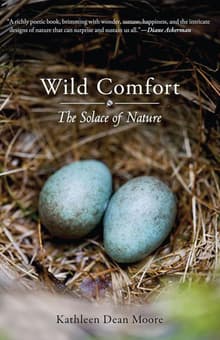 Book cover of Wild Comfort
