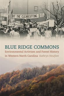 Book cover of Blue Ridge Commons