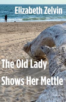 Book cover of The Old Lady Shows Her Mettle