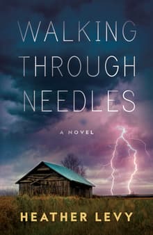 Book cover of Walking Through Needles