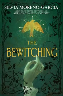 Book cover of The Bewitching